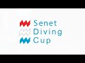 Boys C 1m - Senet Diving Cup 2018