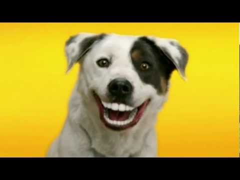 Pedigree Dog Food Commercial With Baby Pedigree Dog Food Commercial With Baby
