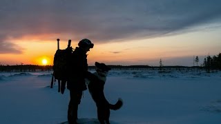 Воспитание и дрессировка охотничей собаки Воспитание и дрессировка охотничей собаки