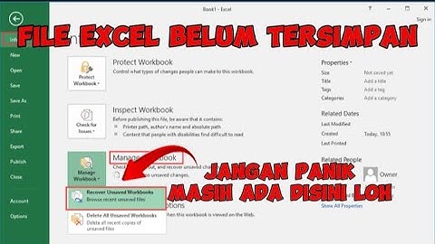 Cara Mengembalikan File Excel yang Lupa di Save