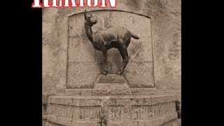REKION | gunbridge-official
