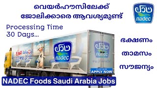 nadec | Job Vacancy in nadec company | Job Vacancy in Saudi Arabia | Gulf Jobs Malayalam 2024 |MYJOB