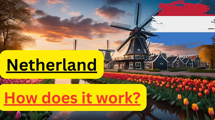 Dutch Economy: A Lesson in Wealth Inequality and Taxes