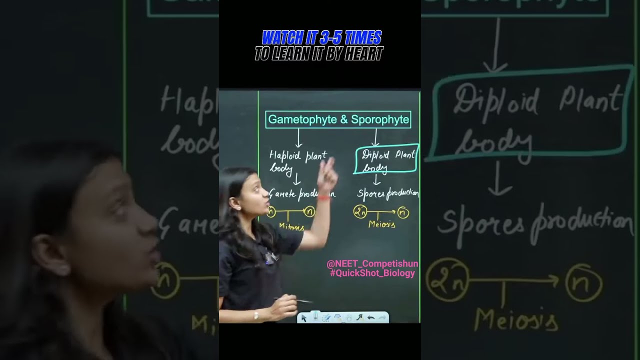 GAMETOPHYTE SPOROPHYTE IN PLANT KINGDOM QuickShot Biology Ncert Neet2025 Neet Neetpreparation