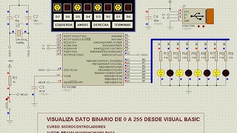 Visualiza dato binario de 0 a 255 desde Visual Basic