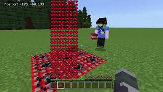 Crafter has 1,000,000 hearts in minecraft!