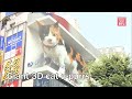 Giant 3D cat a-purrs in Shinjuku