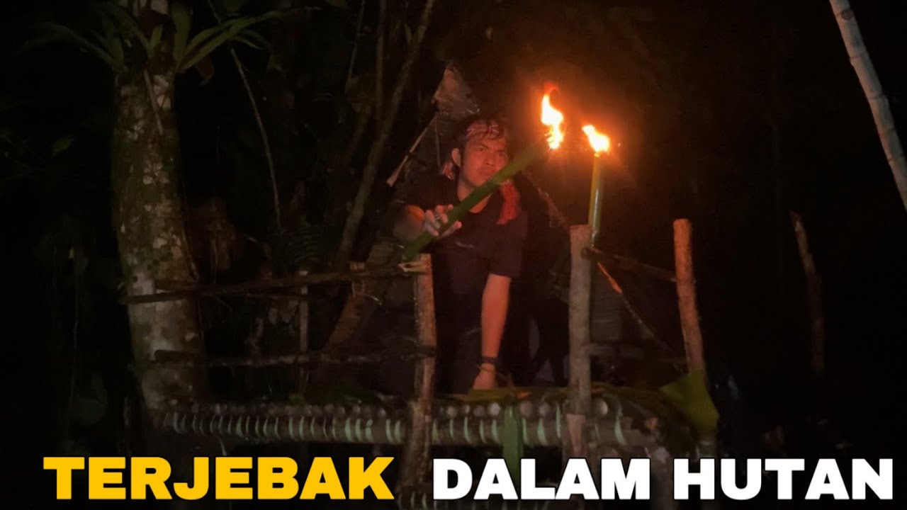 Bertahan hidup dalam hutan,dengan makanan yang ada di hutan #kinsurvive