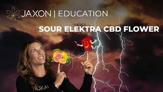 JAXON SOUR ELEKTRA CBD FLOWER