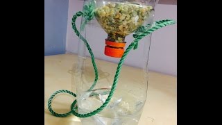 How to make bird water and food feeder at home with plastic bottle easily.