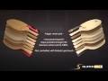 Butterfly Presents The Super ZLC Series Blades Butterfly Presents The Super ZLC Series Blades