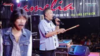 CAMELIA MUSIC - AFTER THE DARKNESS COME THE LIGHT - MR MARLIN - WEDDING AYUK & ASKABUL - GUYANGAN...