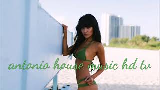 Benassi Bros feat. Dhany - Hit my heart (Nikko Culture Remix) [HQ]