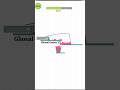 Happy Glass Level 26 Gameplay happyglass gameplay Happy Glass Level 26 Gameplay happyglass gameplay