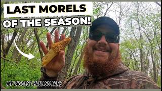 Last MORELS of the Season!
