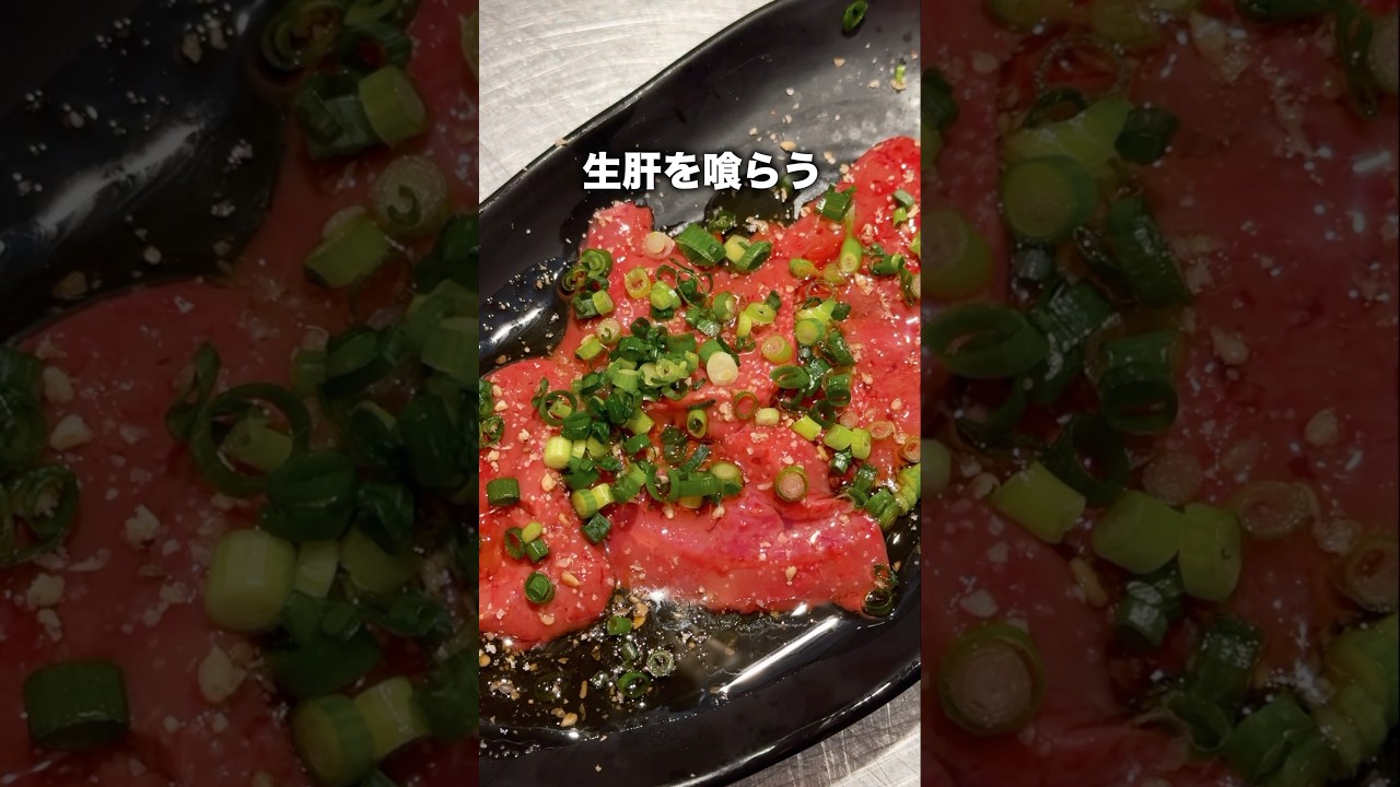 70年続く鶏屋の"完全生"レバーをキメる【北新地】