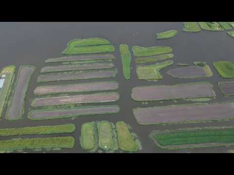 DJI SPARK Thousand Islands HD