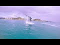 Dolphins Hunt and Frolic near Kayak