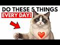 Do These 5 Things Daily, And Your Cat Will Know You LOVE Them 🤫💕