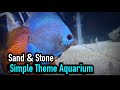 Aquarium dengan Pasir dan Batu Sederhana | Discus &amp; Manfish Platinum