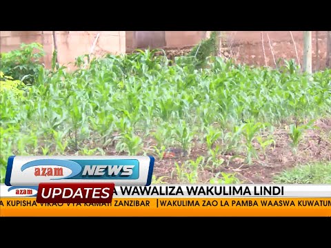 PANYA WATISHIA UHABA WA CHAKULA LINDI