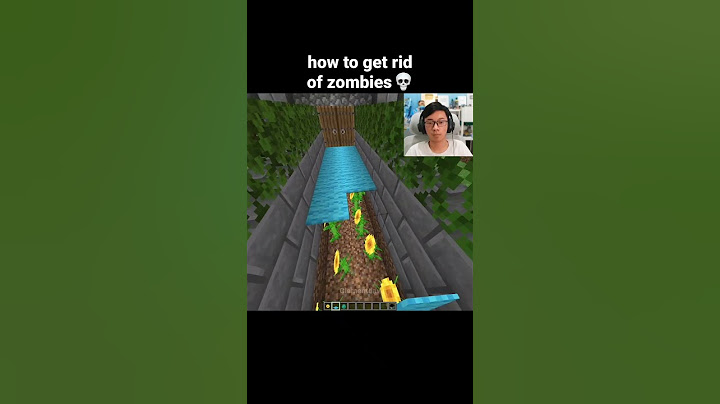 Minecraft Zombie Moment