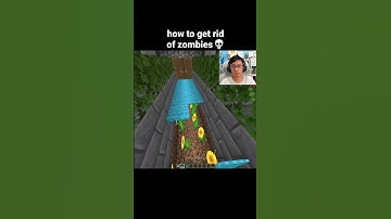 Minecraft Zombie Moment