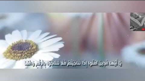 تلاوة خاشعة وآيات مباركة من سورة المجادلة📚/القارئ ناصر القطامي/حالات واتس اب