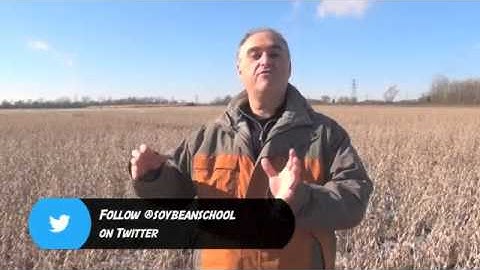 Soybean School - Pooling Information to Work on Disease Management