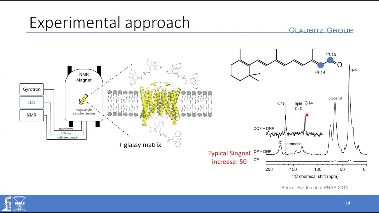 CCPN Conference 2025 - Johanna Becker Baldus's talk