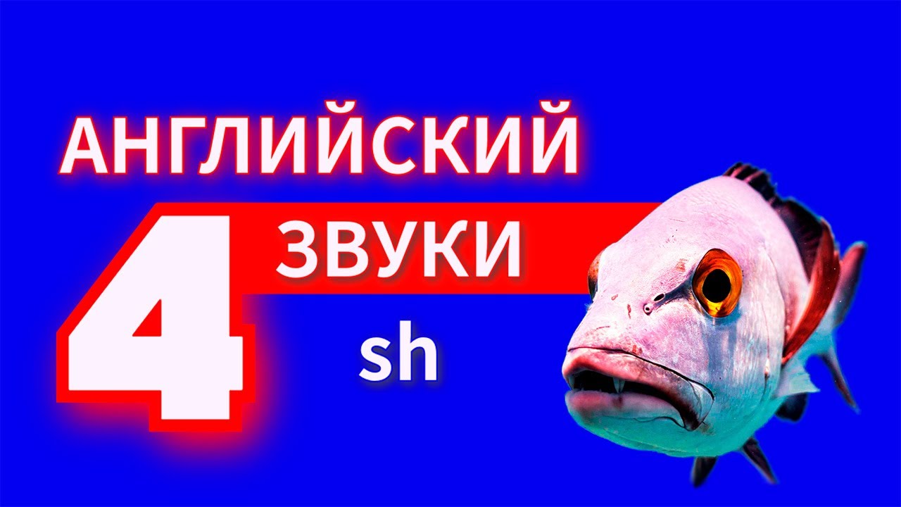 Английские Звуки | ЧАСТЬ 4 | Английский язык | Второй класс - YouTube