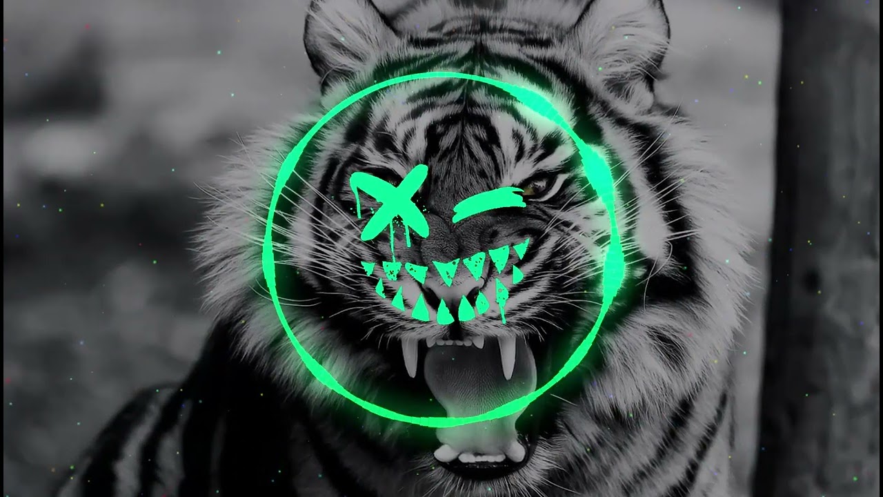 TKTA - Roar