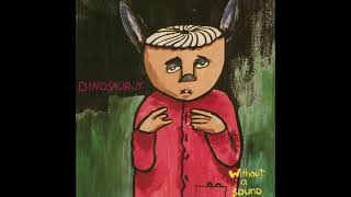 [528Hz] Dinosaur Jr. - Feel The Pain