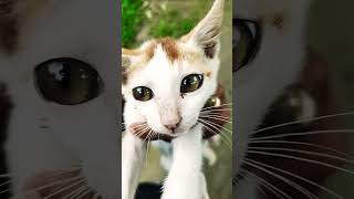 #sad #freefire #love #unfrezzmyaccount #duet #cute #phonkagressive #hiphopbeats