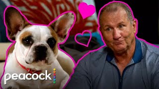 Modern Family | 10 Minutes of Jay Showing Stella More Love Than Gloria