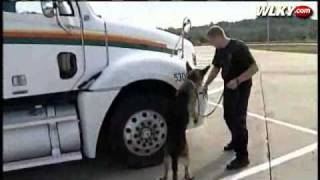 Famous 100 K-9 Teams Train To Find Drugs On Big Rigs Net Worth