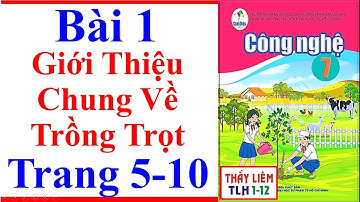 Công Nghệ 7 Bài 1 | Giới Thiệu Chung Về Trồng Trọt | Trang 5 – 10 | Cánh Diều