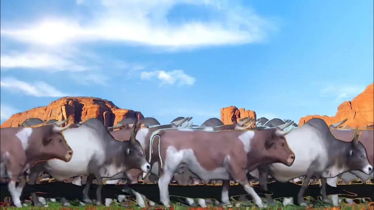 Cow Stampede ll how to survive YouTube