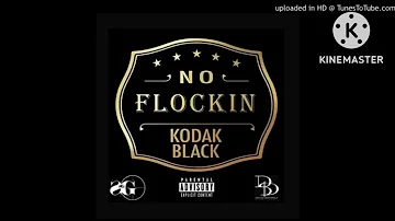 Kodak Black - No Flockin Freestyle (432Hz)