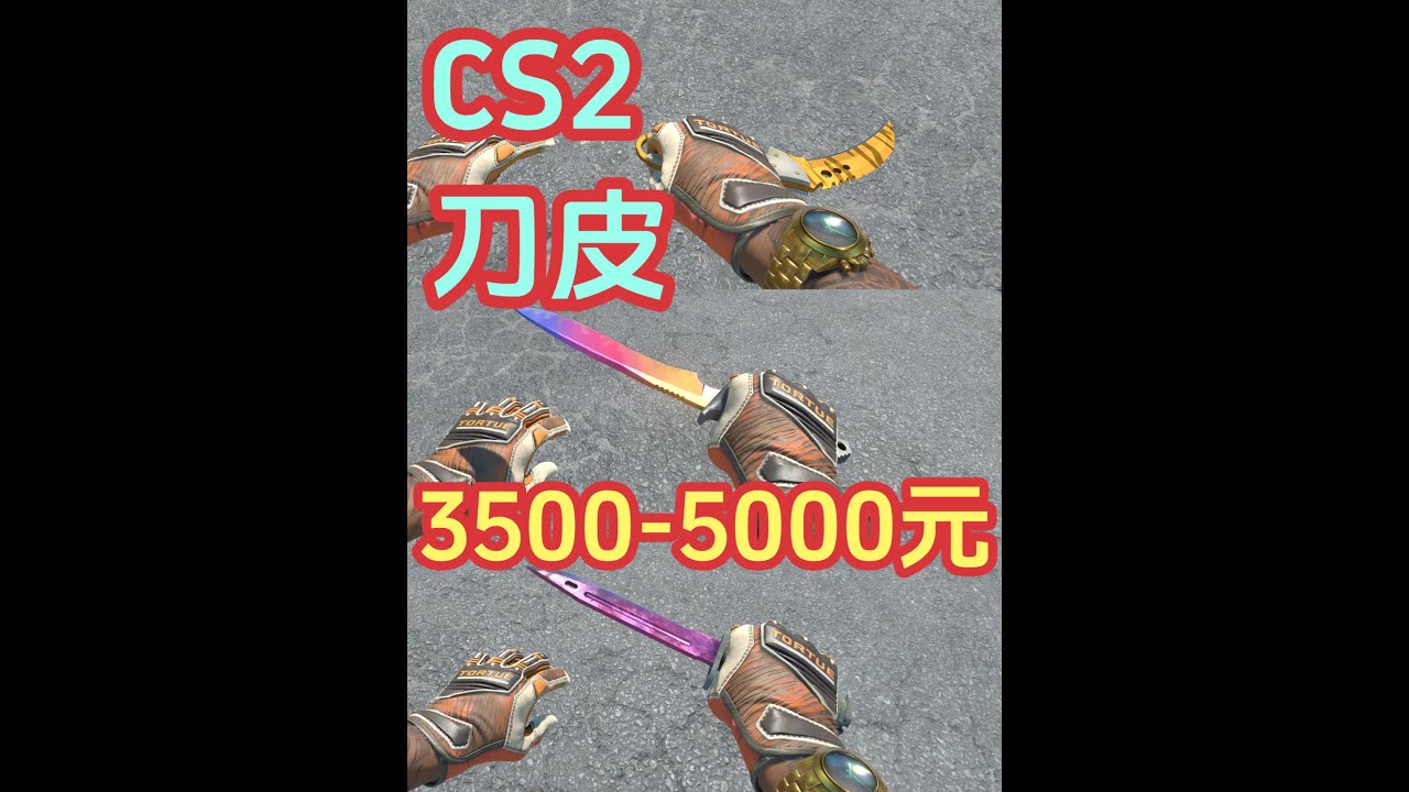 20款CS2刀子皮肤推荐:3500-5000元之间高性价盘点 苏哥本期视频给大家推荐3500-5000元之间的CS2刀皮刀型,包含蝴蝶刀,爪子 ...