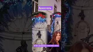 Поездка в Брюссель