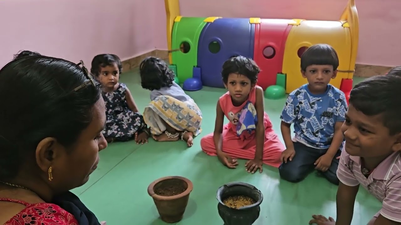 PLANT LIFE - 2025 - 26