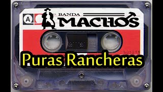 BANDA MACHOS MIX RANCHERAS