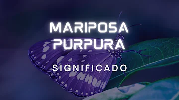 ¿Cómo se llama la mariposa púrpura?