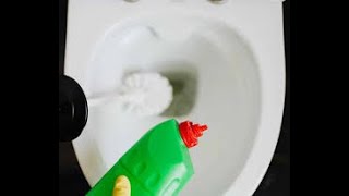 Easy Ways to Unclog Your Toilet Without a Plunger! #ToiletHacks #ClogSolution #QuickFixToilet