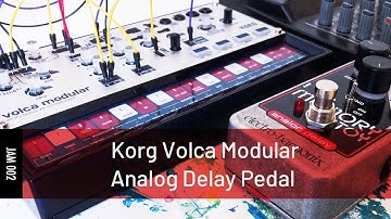 Volca Modular + Electro-Harmonix Memory Toy Effects Pedal "Jam 002"