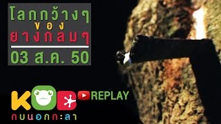 กบนอกกะลา REPLAY : โลกกว้างๆของยางกลมๆ ช่วงที่ 2/4 (3 ส.ค.50)