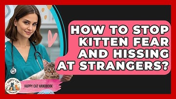 How To Stop Kitten Fear And Hissing At Strangers? - Happy Cat Handbook