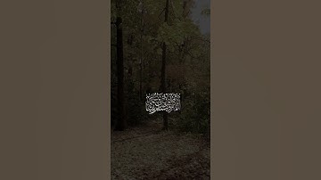 ﴿إِنَّ اللَّهَ وَمَلائِكَتَهُ يُصَلّونَ عَلَى النَّبِيِّ.. ﴾  || تلاوة خاشعة بصوت الشيخ صالح الطوالة