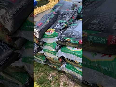 5 BAGS OF